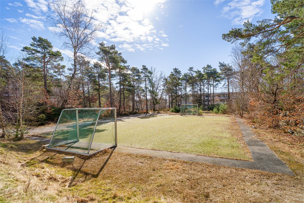 Rolig uteområde med natur rett utenfor døren.